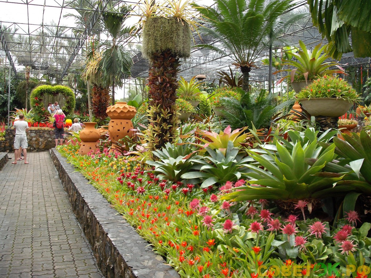 17 Ботанический сад в Нонг-Нуч