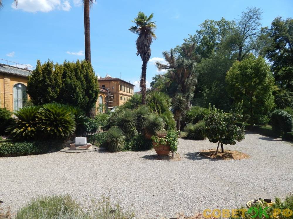 Ботанический сад во Флоренции