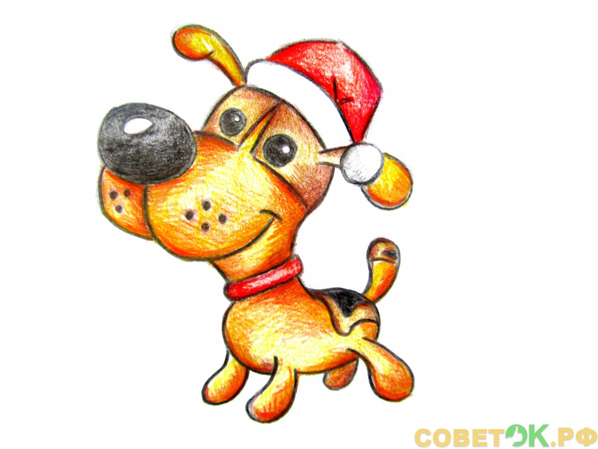 14 новогодний рисунок собаки с зимней шапкой