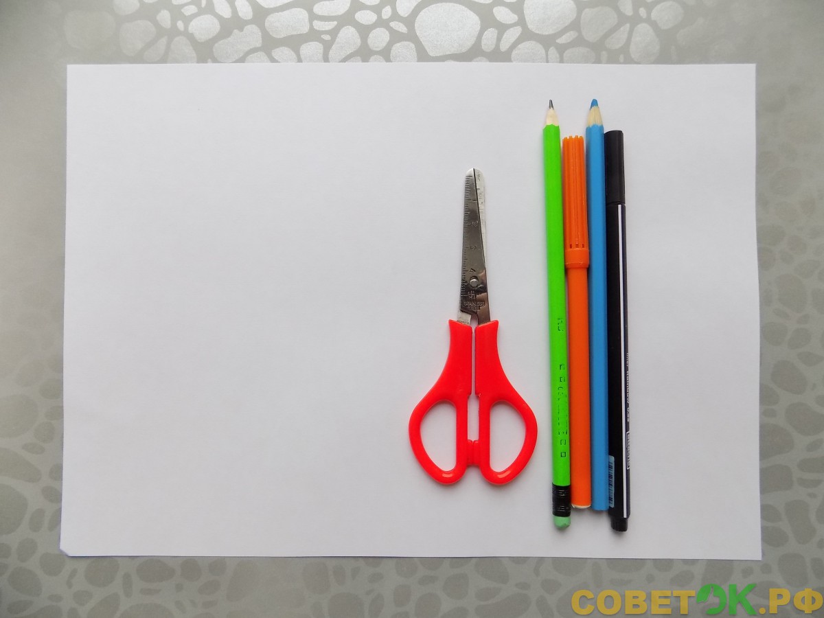 лист бумаги белого цвета; черный маркер; карандаш голубого цвета; оранжевый фломастер; простой карандаш; ножницы