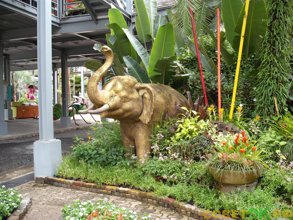 19 скульптура слона