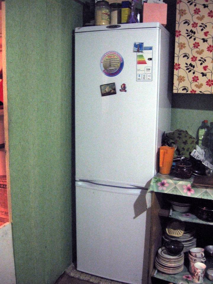 Отзыв о холодильнике Don R-291