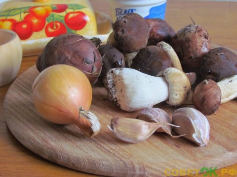 Суп-пюре из лесных грибов со сливками